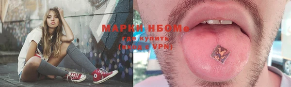 тгк Алзамай