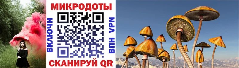 купить закладку  Сосновоборск  Галлюциногенные грибы Psilocybine cubensis 