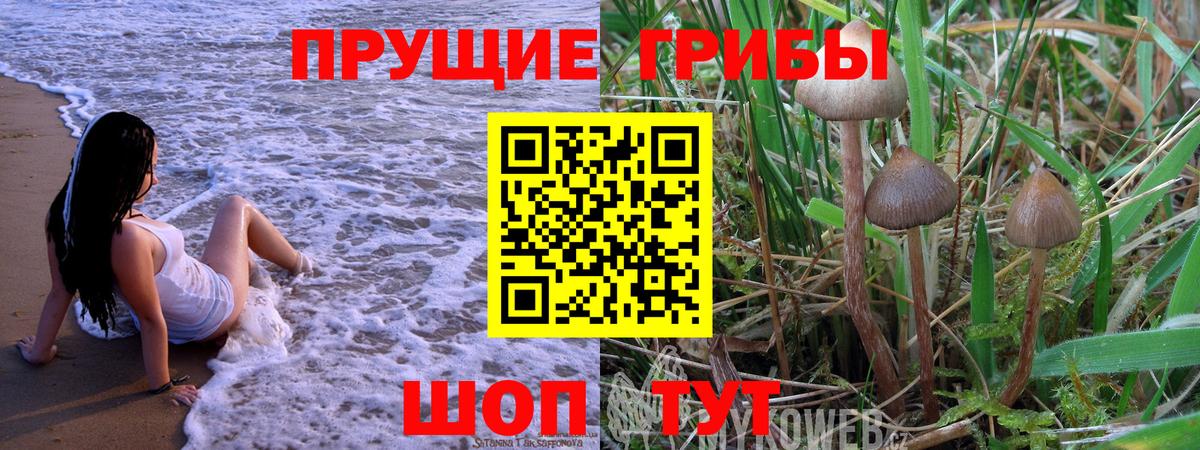 Сосновоборск  Галлюциногенные грибы ЛСД  Вход с VPN 
