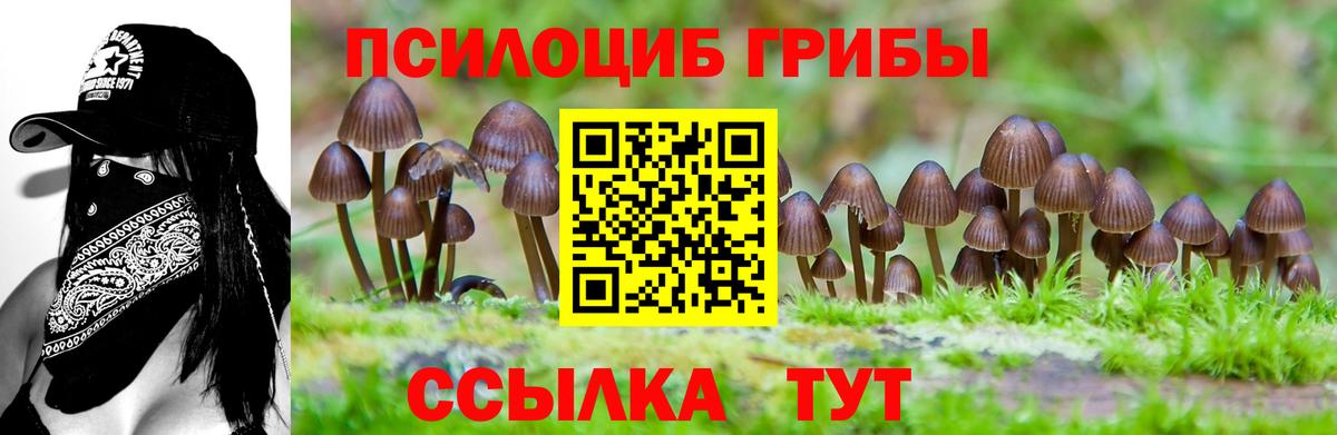 Галлюциногенные грибы мицелий Сосновоборск